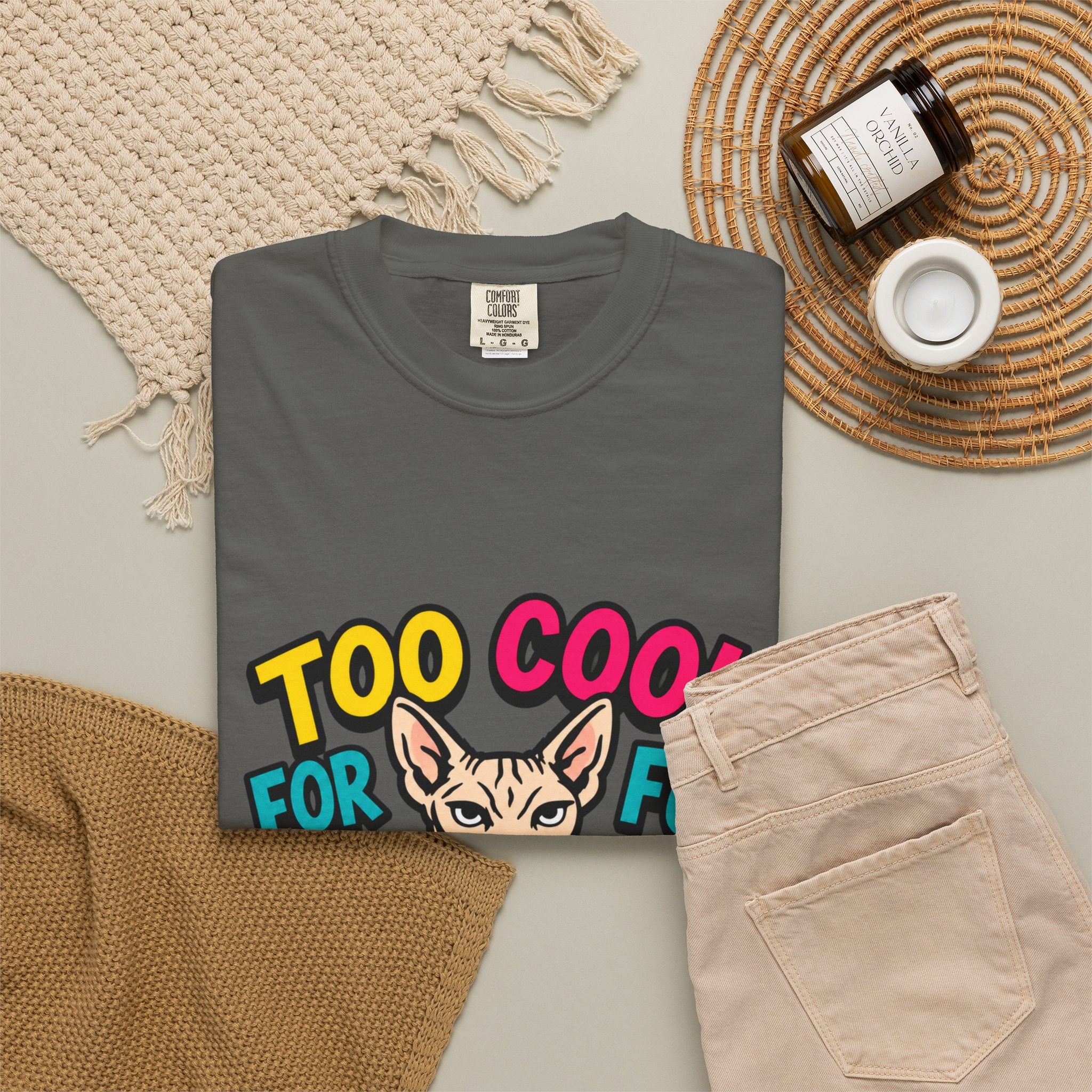 Too Cool for Fur Sphynx Cat T-Shirt — Retro Colorblock Graphic Tee