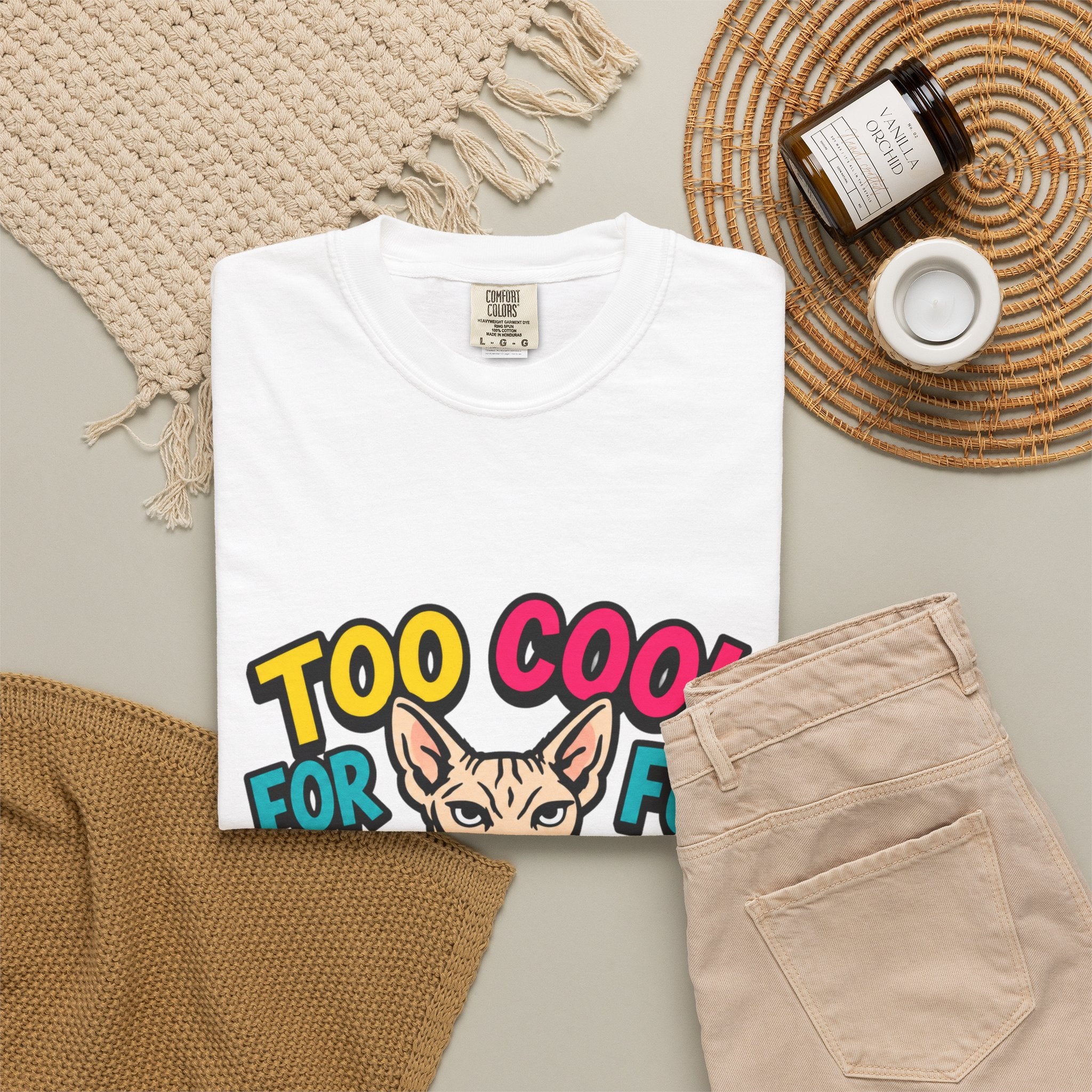 Too Cool for Fur Sphynx Cat T-Shirt — Retro Colorblock Graphic Tee