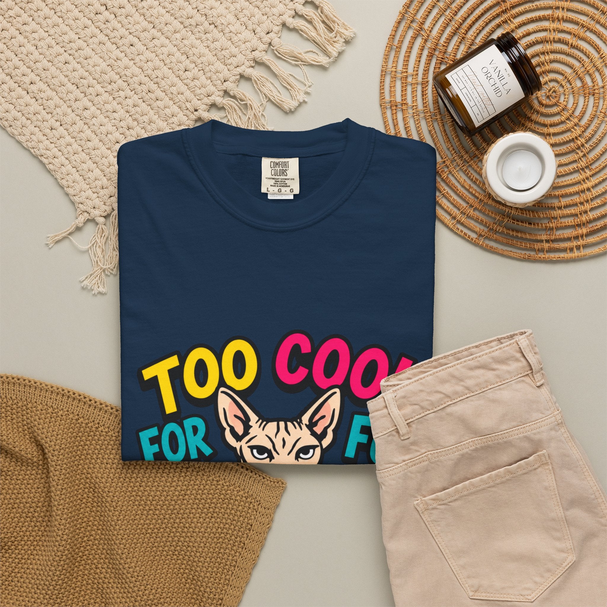 Too Cool for Fur Sphynx Cat T-Shirt — Retro Colorblock Graphic Tee