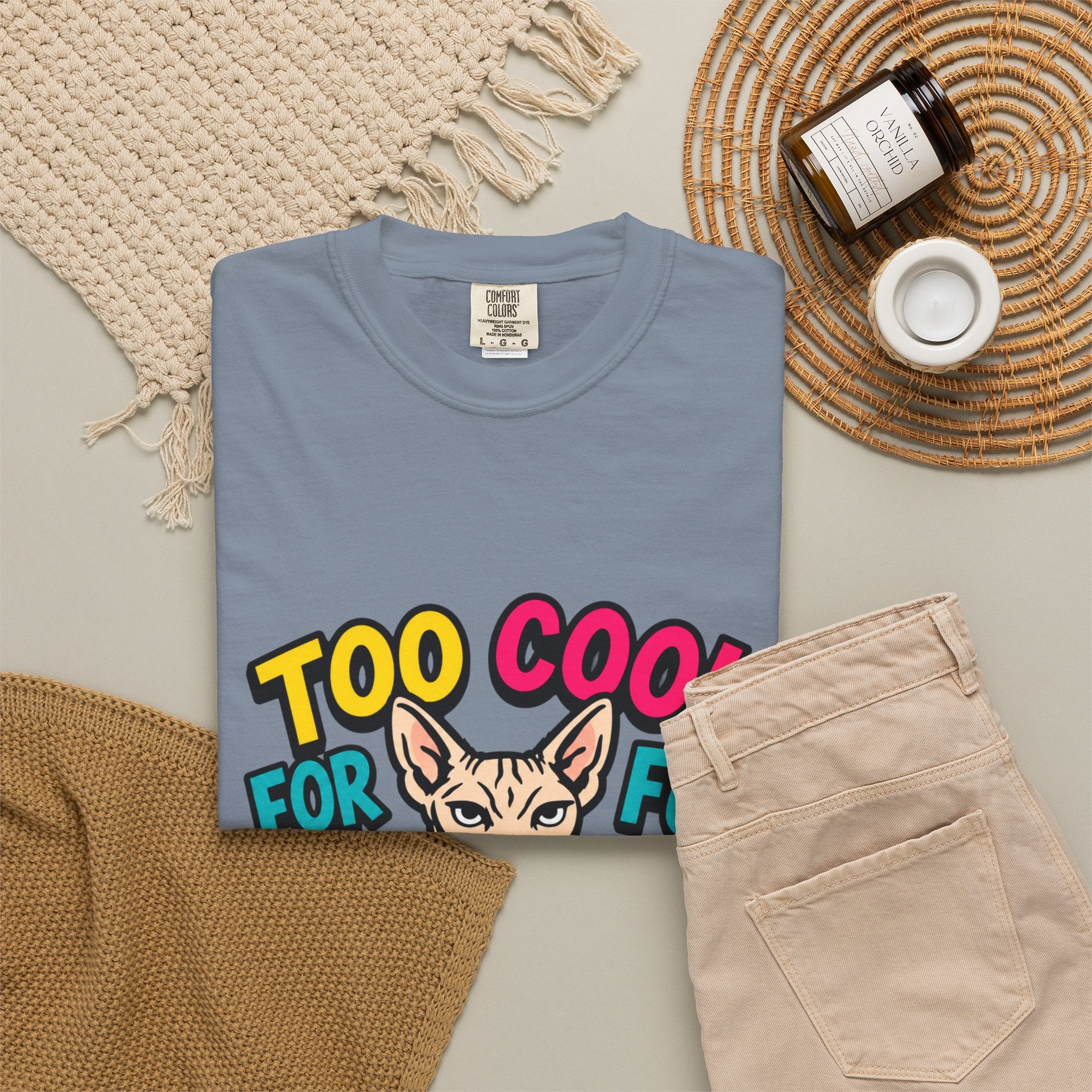 Too Cool for Fur Sphynx Cat T-Shirt — Retro Colorblock Graphic Tee
