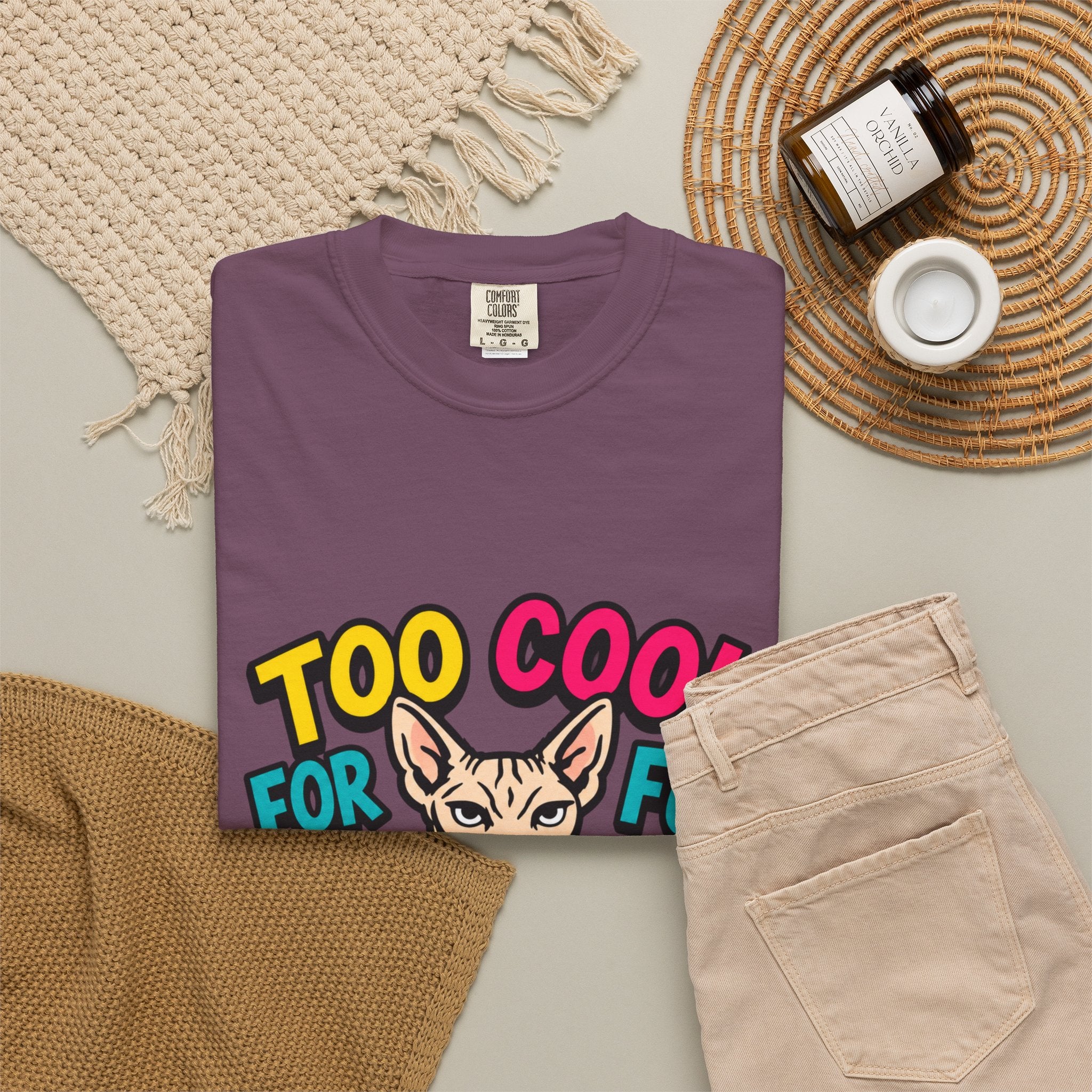 Too Cool for Fur Sphynx Cat T-Shirt — Retro Colorblock Graphic Tee