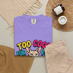 Too Cool for Fur Sphynx Cat T-Shirt — Retro Colorblock Graphic Tee