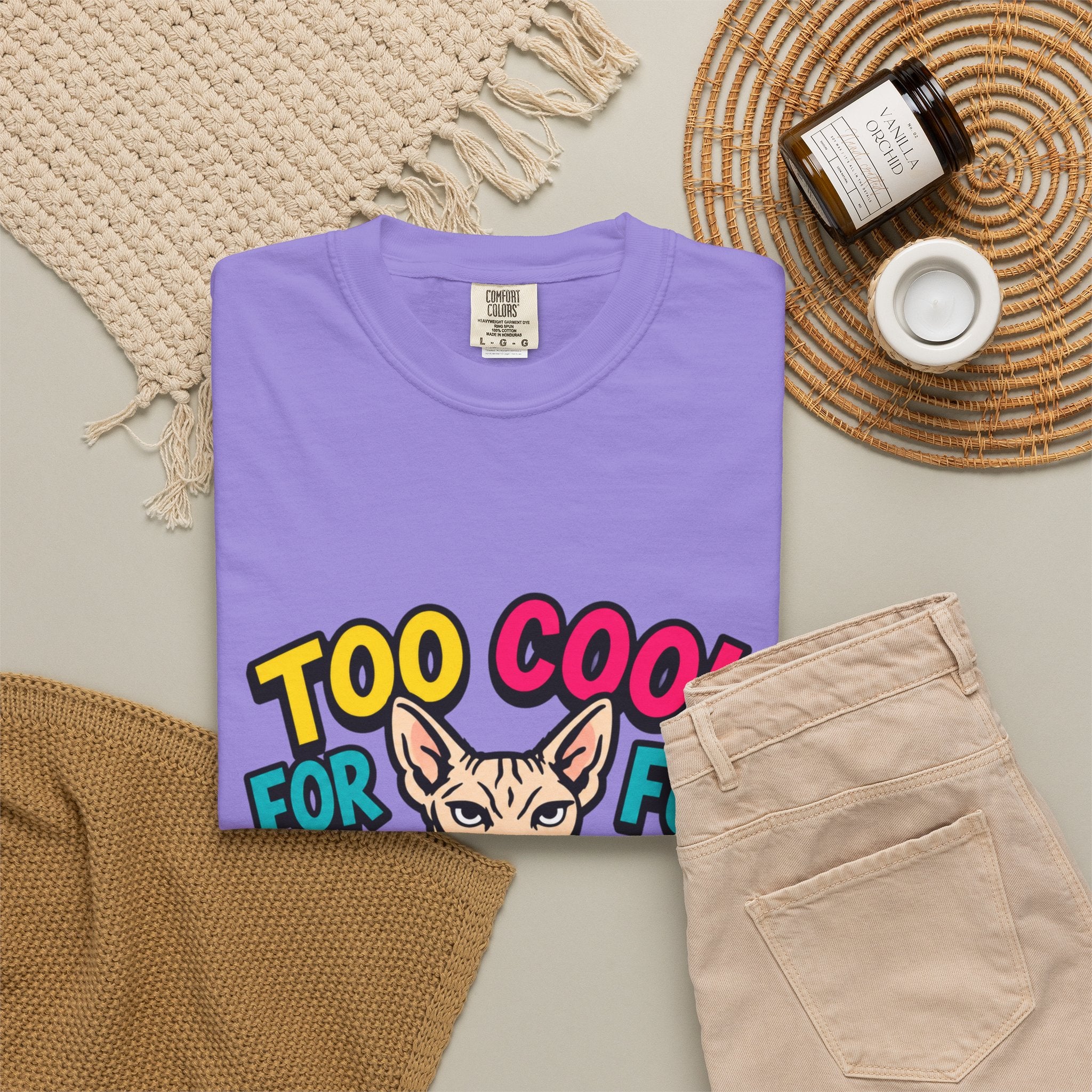 Too Cool for Fur Sphynx Cat T-Shirt — Retro Colorblock Graphic Tee