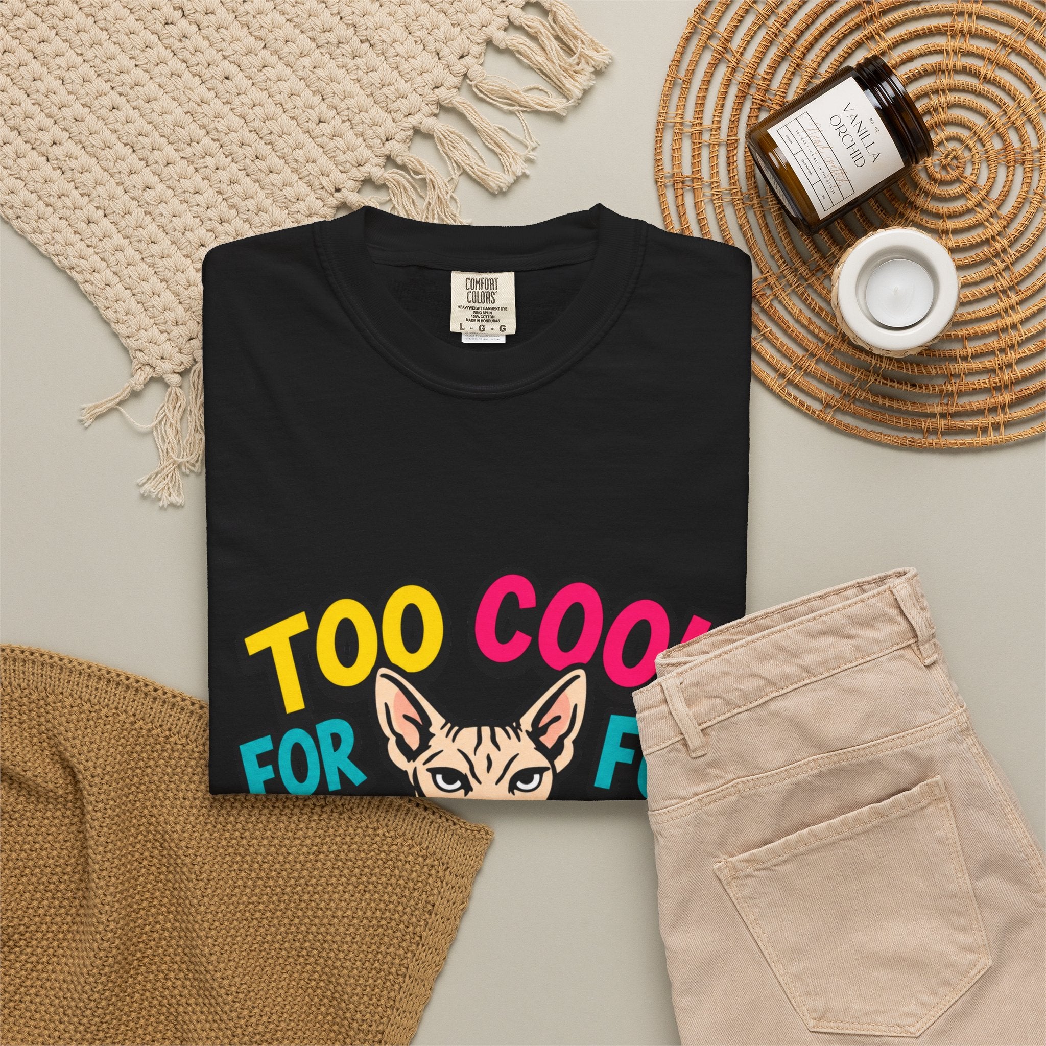 Too Cool for Fur Sphynx Cat T-Shirt — Retro Colorblock Graphic Tee